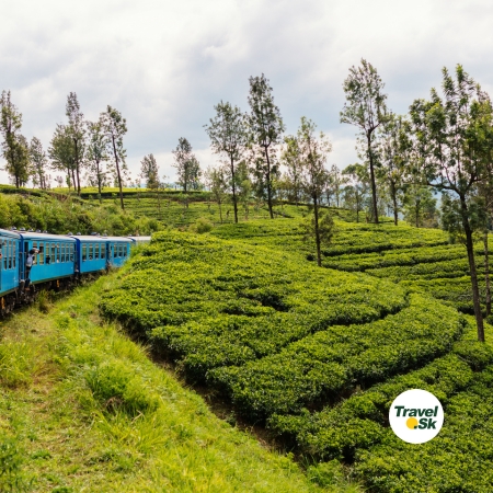 Doprava na Srí Lanke – vlak a auto