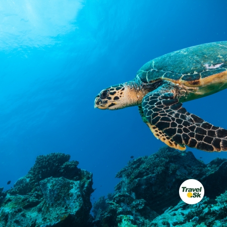 Police Bay – divoká pláž na juhu Mahé